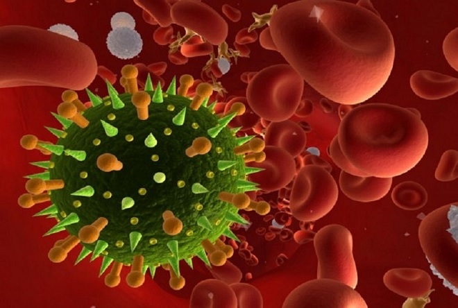 Клетка ВИЧ инфекции в крови