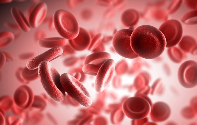 Немного повышены эритроциты в крови у взрослого