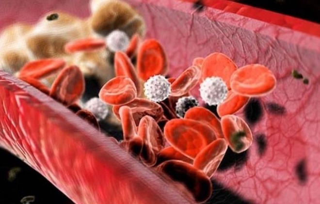 Формирование сгустка крови тромбоцитами