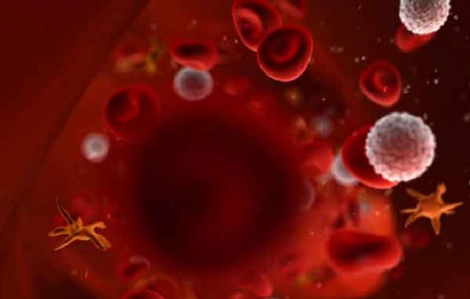 Наличие низкого количества тромбоцитов в крови