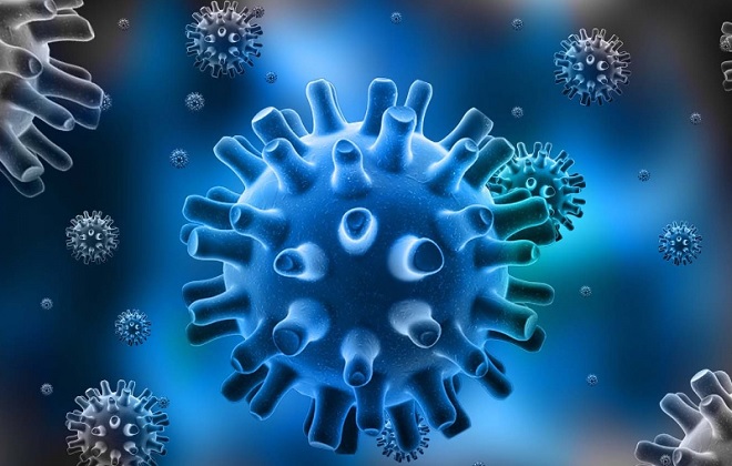 Бактерия ротавируса человека