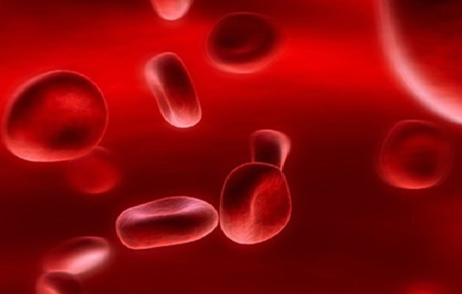 Наглядные изменения крови при онкологии