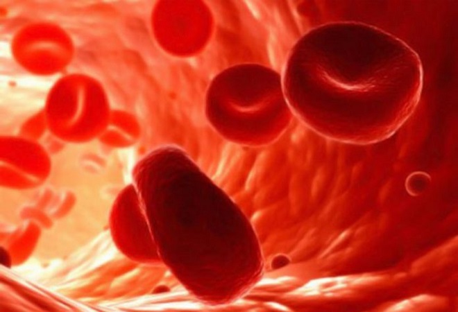 Поток эритроцитов в крови человека