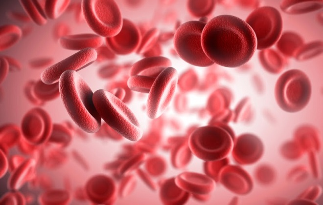 Приток эритроцитов в крови