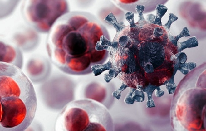 Раковые лейкоциты в крови онкологических больных