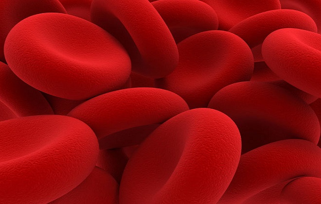 Эритроциты при болезни эритремией крови